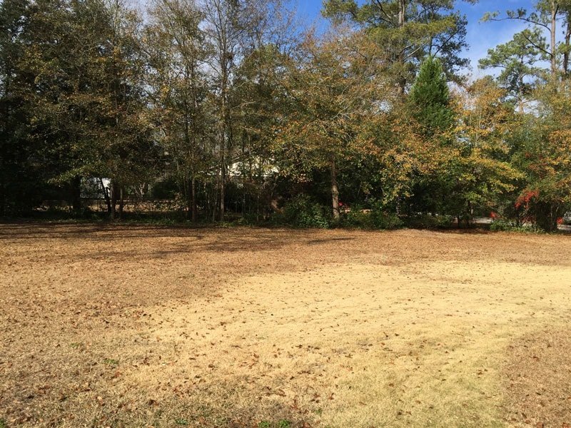 Project Spotlight: South Carolina Residence 2 Project Spotlight: South Carolina Residence 1