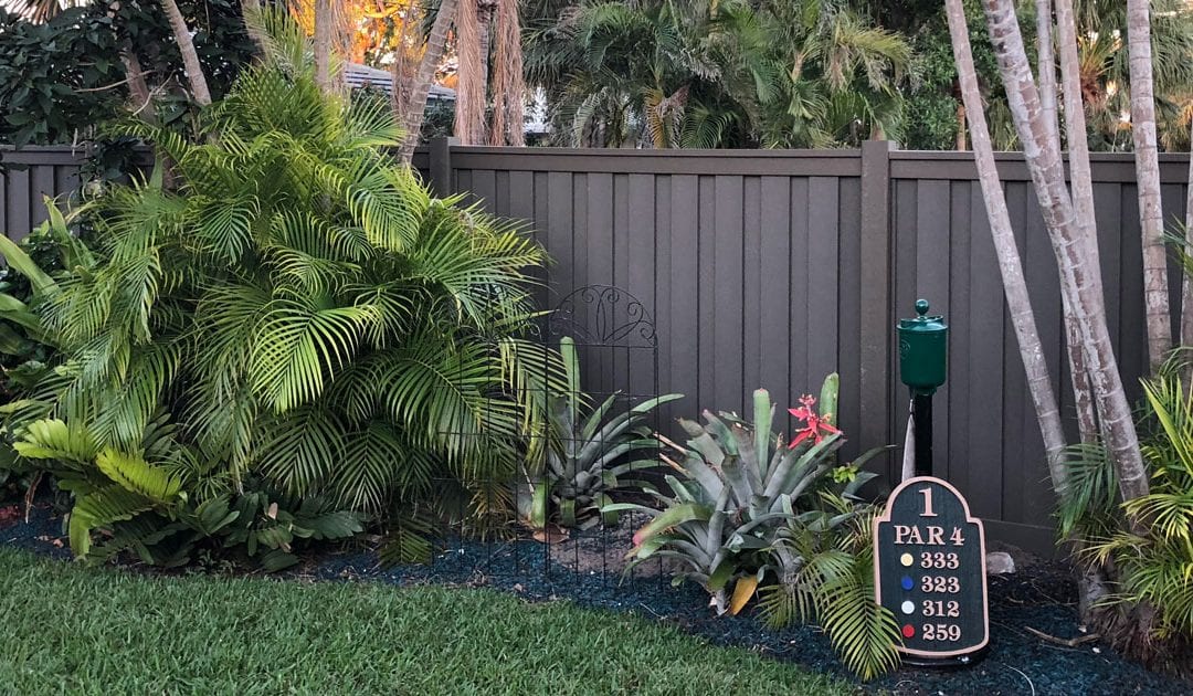 Project Spotlight: After Hurricane Irma 1 Project Spotlight: After Hurricane Irma