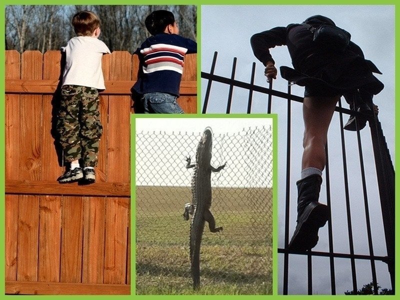 Trex Seclusions Fencing as a Security Fence 3 Trex Seclusions Fencing as a Security Fence 2