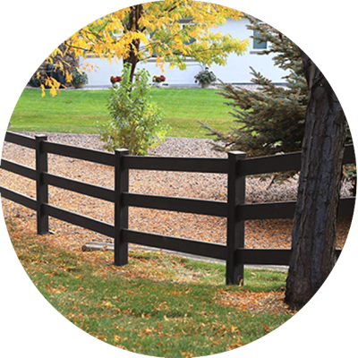black Shenandoah